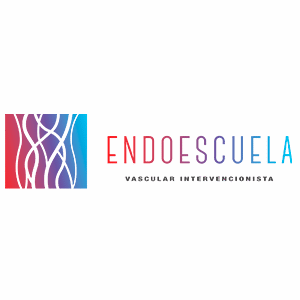 https://www.sociedadsacmi.es/wp-content/uploads/2025/10/endoes-300x300.png